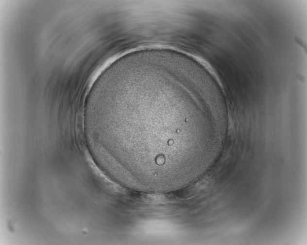 X0000099530911200805301437