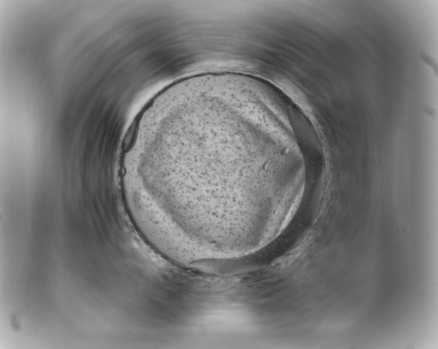 X0000099530912200805301437