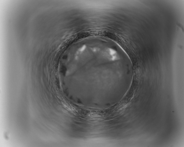 X0000099530913200805301436