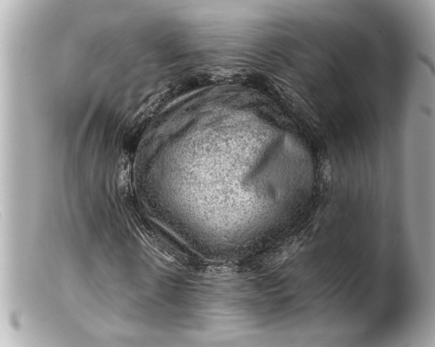 X0000099530914200805301436