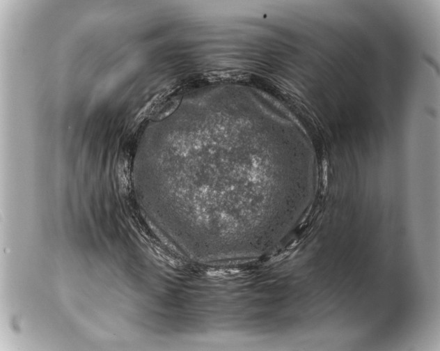 X0000099530915200805301436