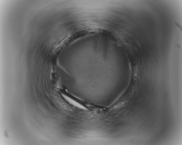 X0000099530916200805301436