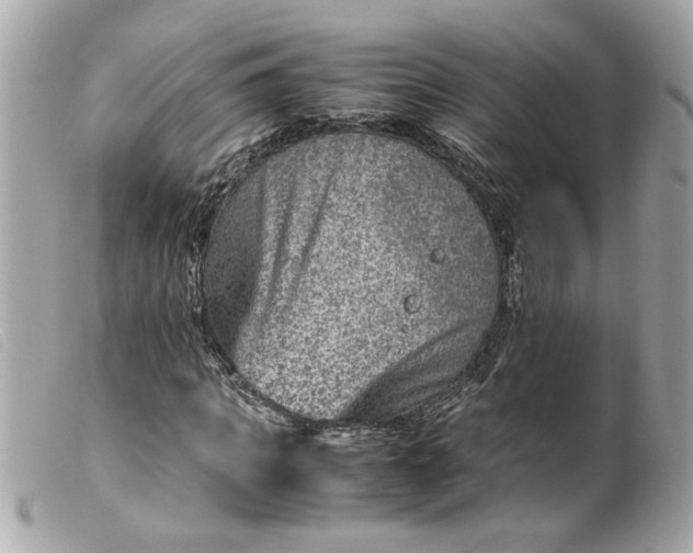 X0000099530917200805301436