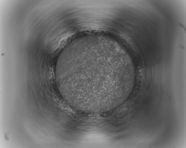 X0000099530918200805301436