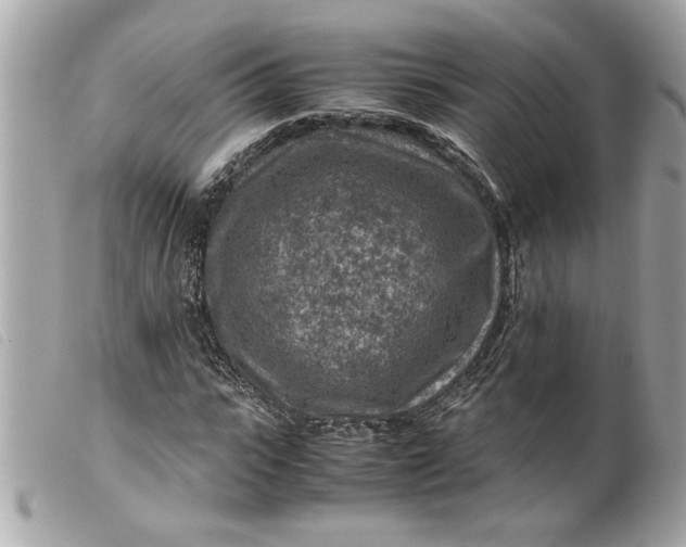 X0000099530919200805301436