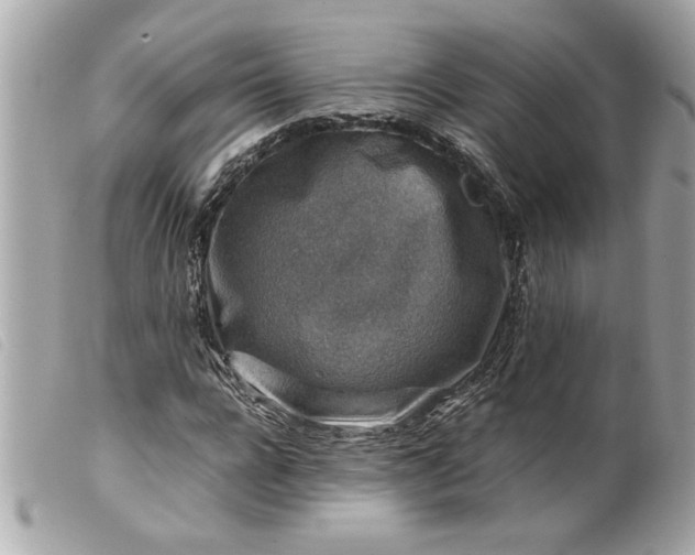 X0000099530920200805301436