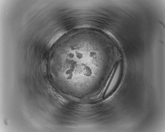 X0000099530921200805301436