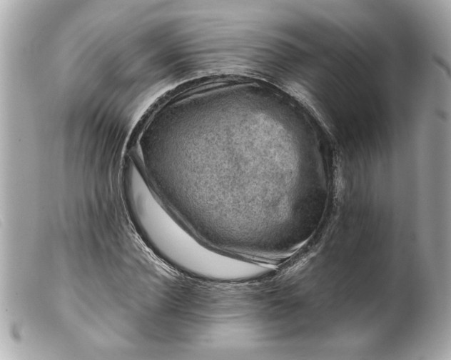 X0000099530924200805301437