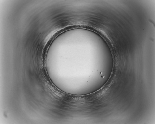 X0000099530927200805301437