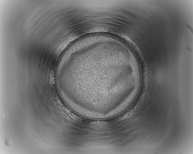 X0000099530929200805301437