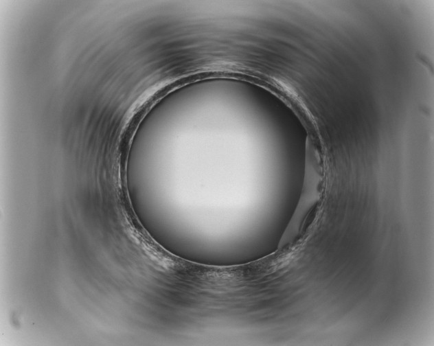 X0000099530931200805301437