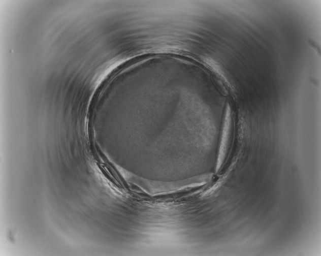 X0000099530932200805301437