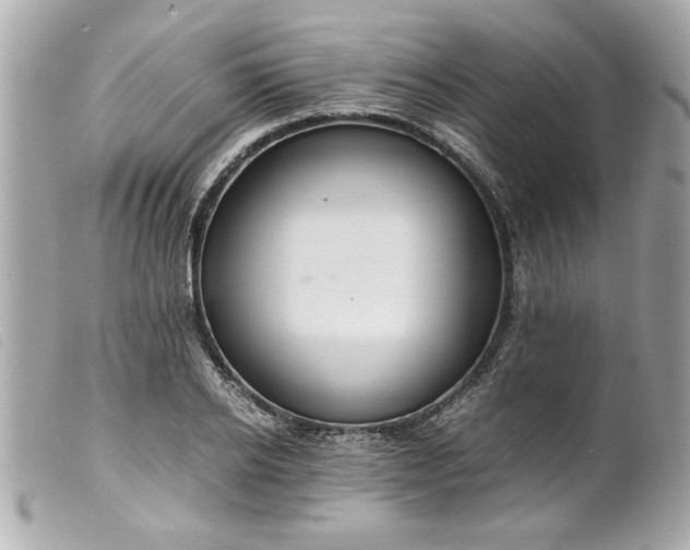 X0000099530934200805301437