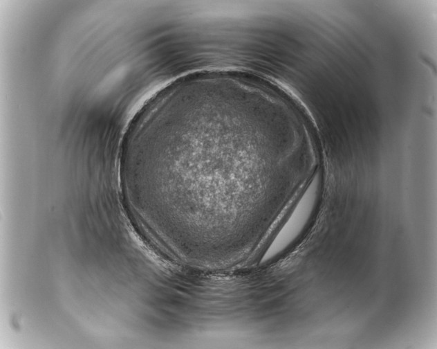 X0000099530935200805301437