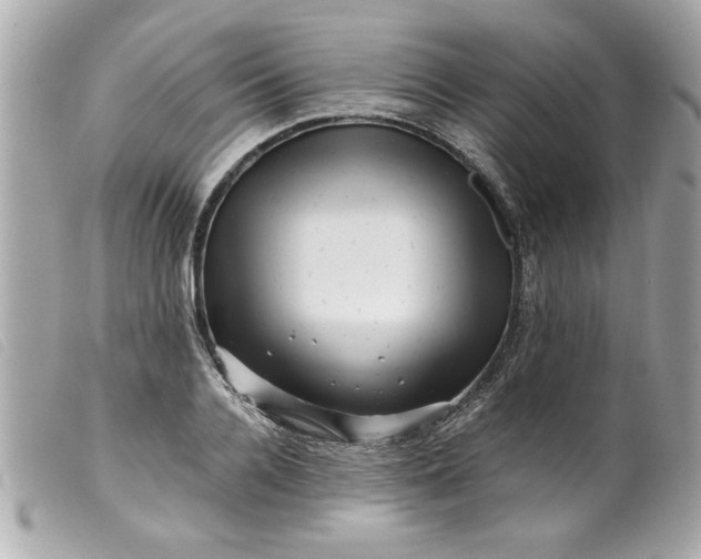 X0000099530936200805301437