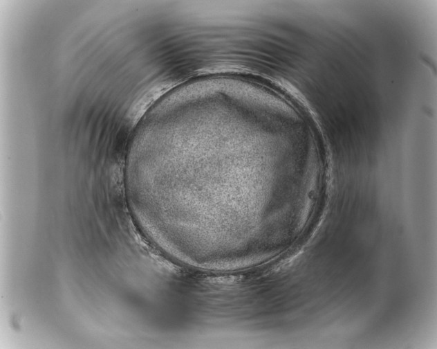 X0000099530937200805301437