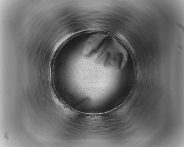 X0000099530939200805301437