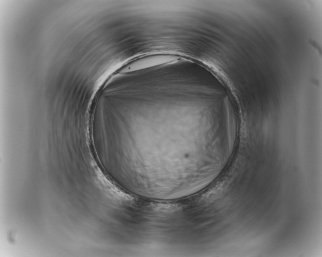 X0000099530941200805301437