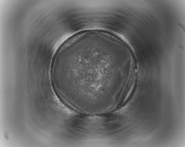 X0000099530943200805301437