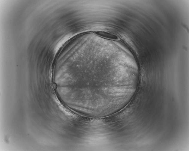 X0000099530944200805301437