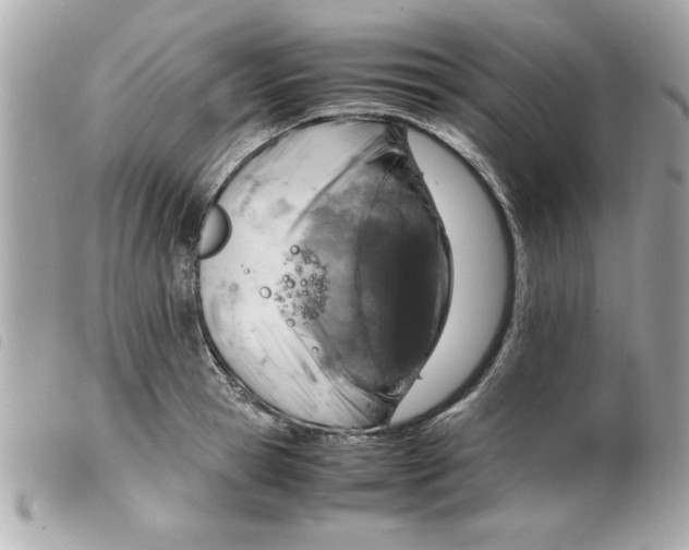 X0000099530945200805301437