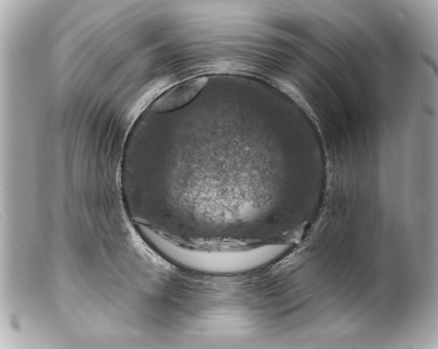 X0000099530946200805301437