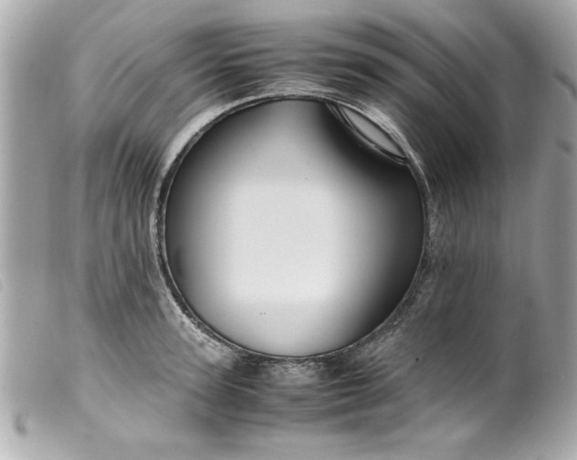 X0000099530947200805301437