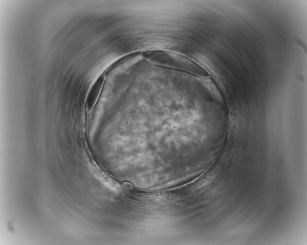 X0000099530948200805301437