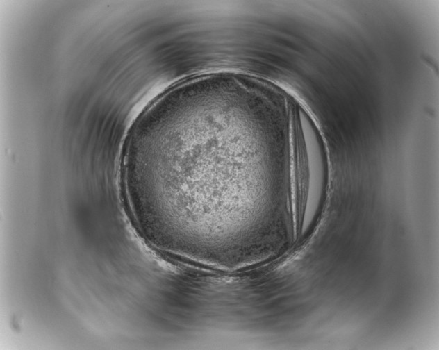 X0000099530949200805301437