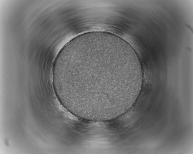 X0000099530950200805301437