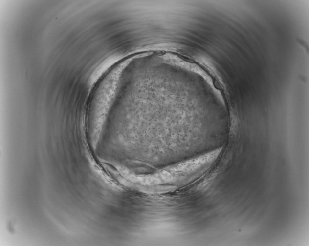 X0000099530952200805301437