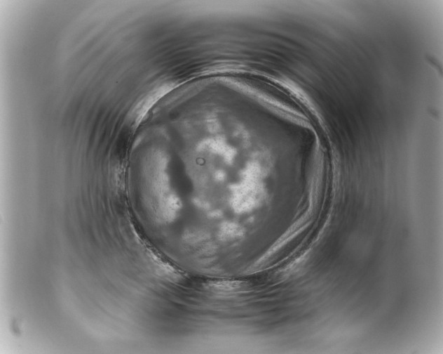 X0000099530953200805301437