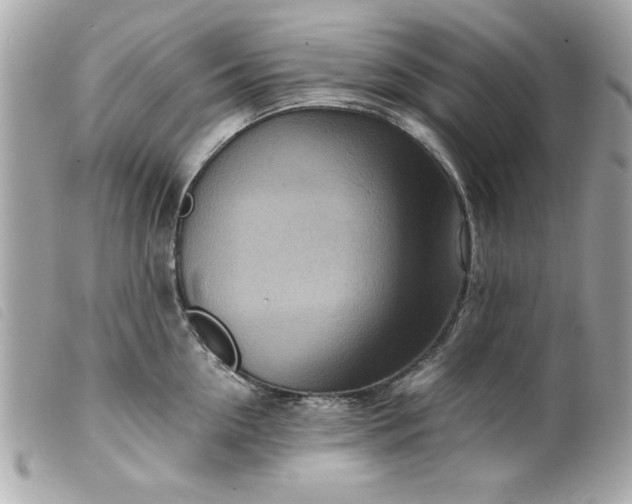 X0000099530954200805301437