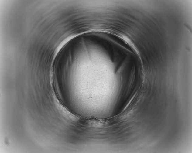 X0000099530955200805301437