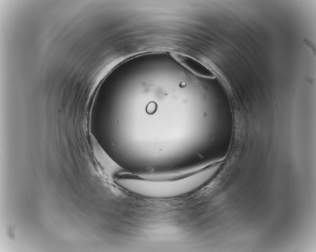 X0000099530956200805301437