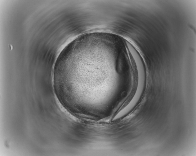 X0000099530957200805301437