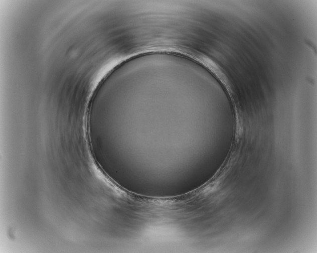 X0000099530958200805301437