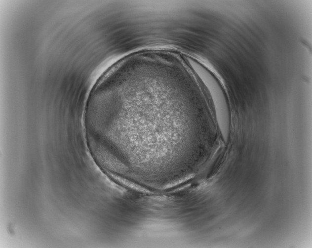 X0000099530959200805301437