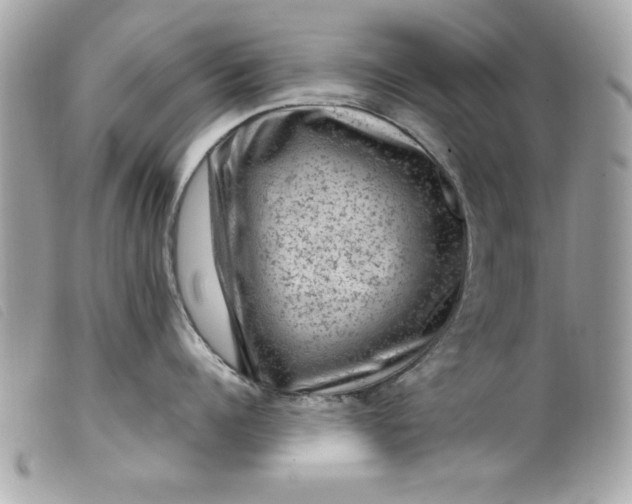 X0000099530960200805301437