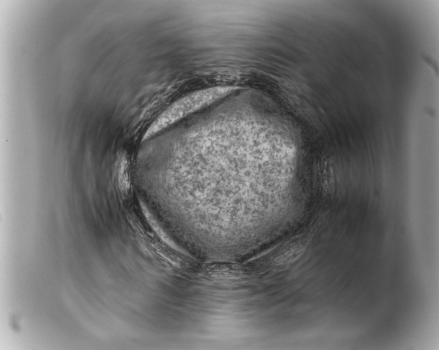 X0000099530962200805301436