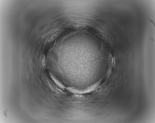 X0000099530963200805301436