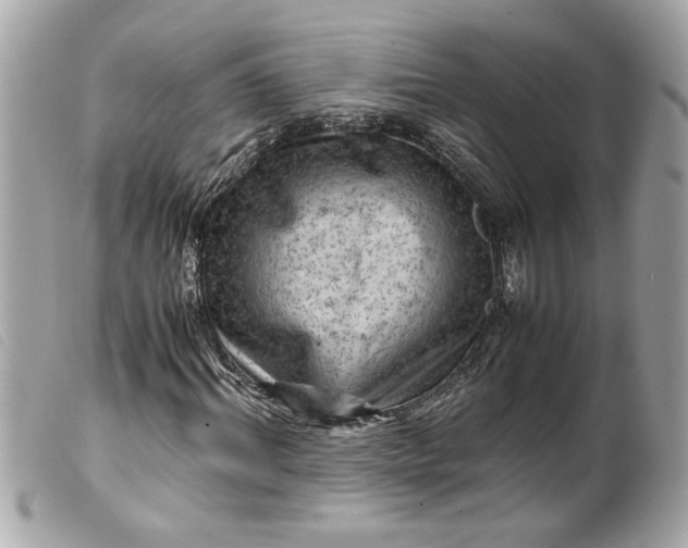 X0000099530964200805301436