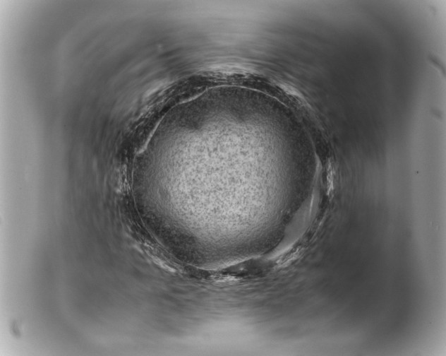 X0000099530965200805301436