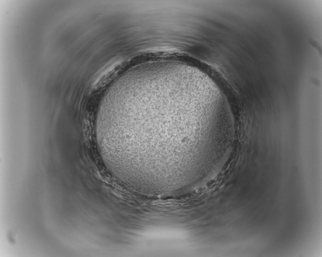 X0000099530967200805301436