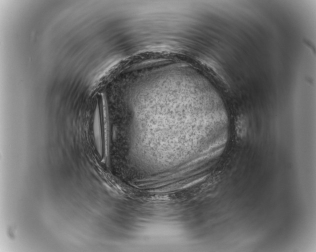 X0000099530968200805301436