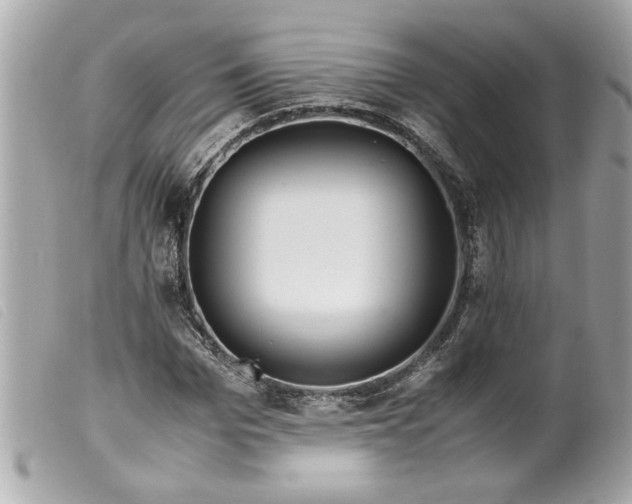 X0000099530969200805301436