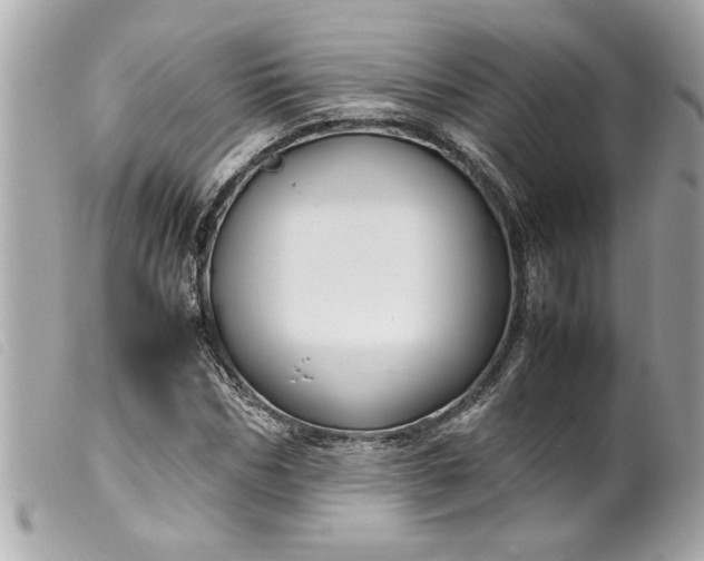 X0000099530970200805301436