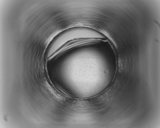 X0000099530972200805301436