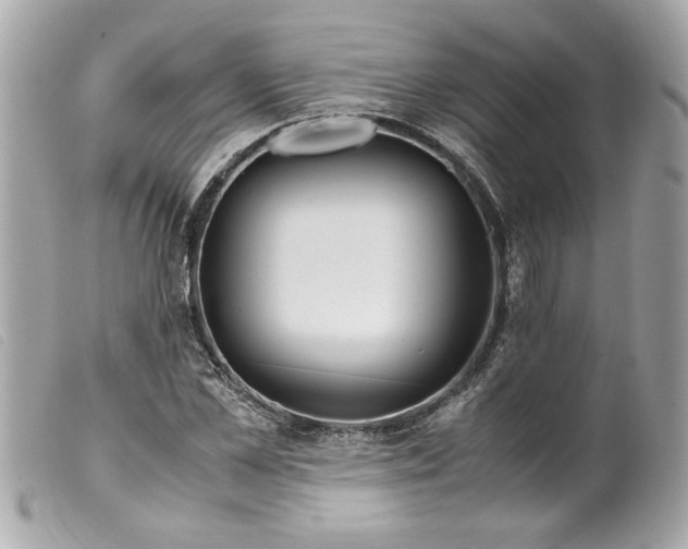 X0000099530973200805301436