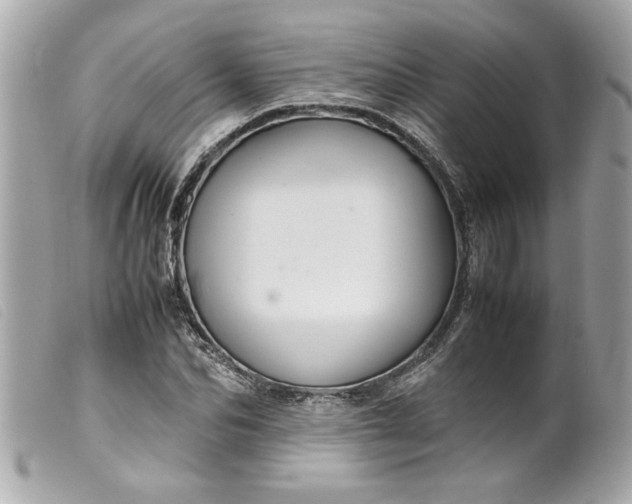 X0000099530974200805301436